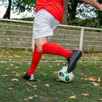 Product thumbnail 15 of 15