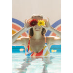 Product thumbnail 6 of 38