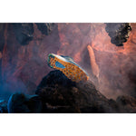 Product thumbnail 48 of 66