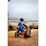 Product thumbnail 13 of 20