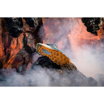 Product thumbnail 47 of 66