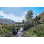 Product thumbnail 61 of 65