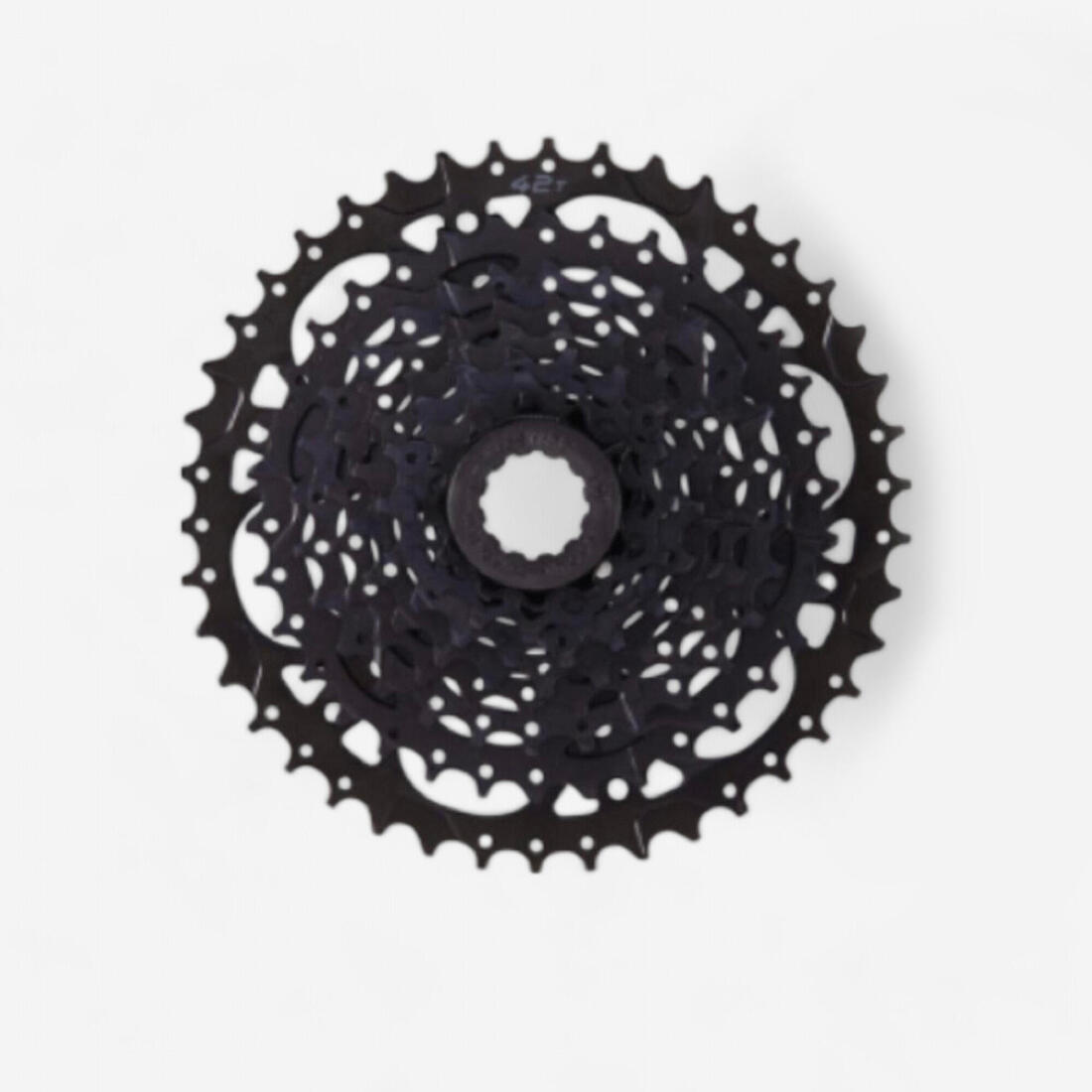 IMG_2115607