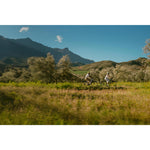 Product thumbnail 9 of 11