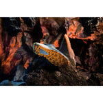 Product thumbnail 45 of 66