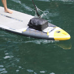 Product thumbnail 17 of 18